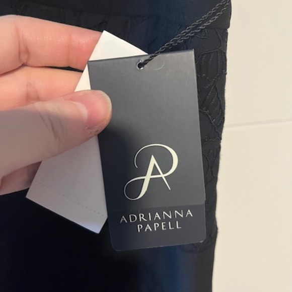 Adrianna Pappell Cynthia Lace Sheath dress - Picture 2 of 8